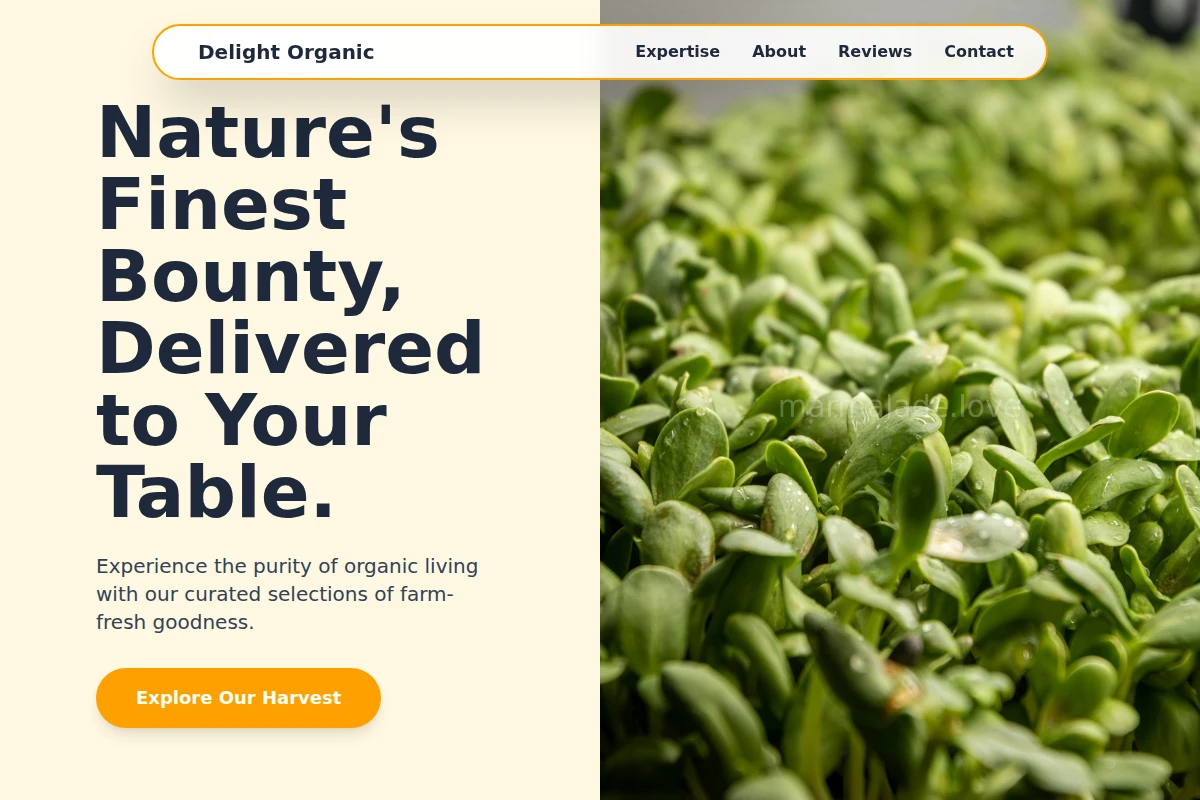 Delight Organic Food