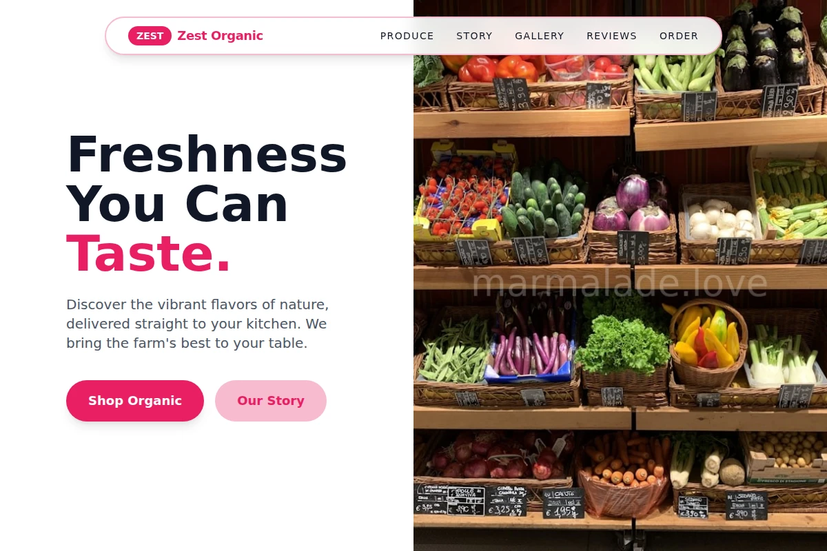 Zest Organic Food