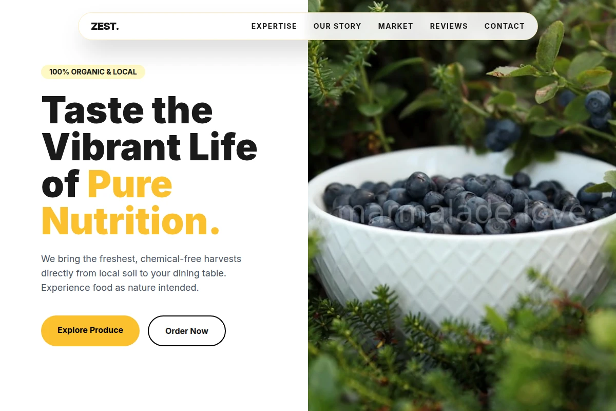 Zest Organic Food